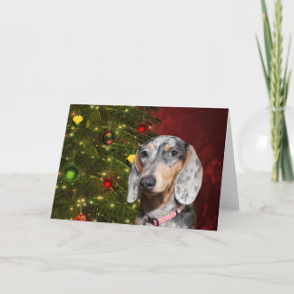 Dappled Dackel-Weihnachten Feiertagskarte