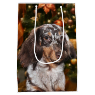 Dappled Dackel-Weihnachten Mittlere Geschenktüte