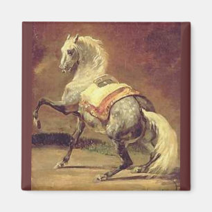DAPPLED GRAY HORSE MAGNET