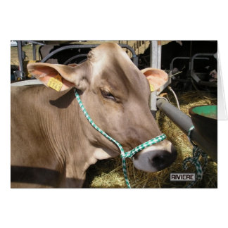 d'Aquitaine blond