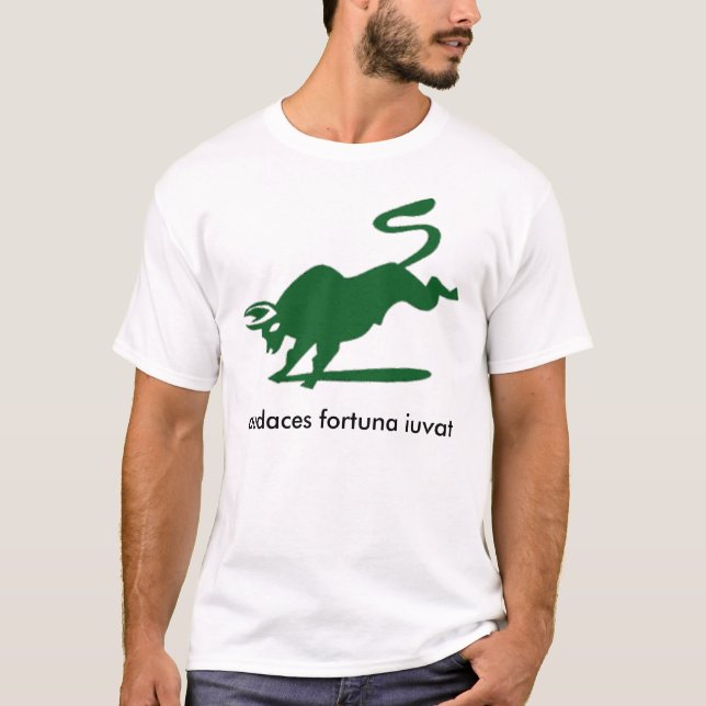 Darden MBA Team 5 Exekutive 2010 T-Shirt (Vorderseite)