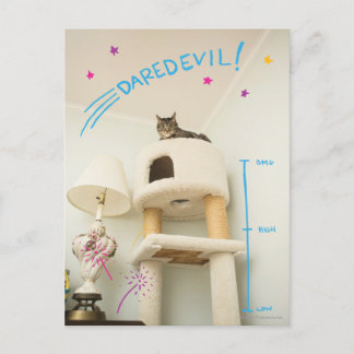 Daredevil Cat Postkarte