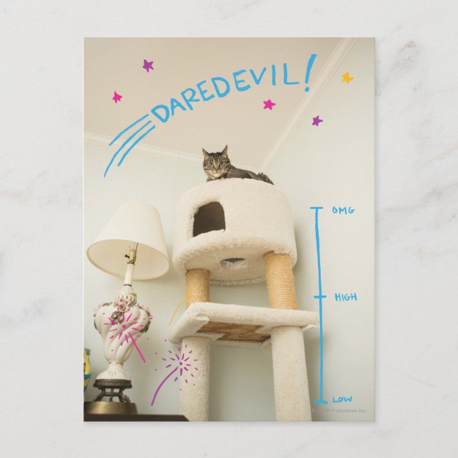 Daredevil Cat Postkarte (Vorderseite)