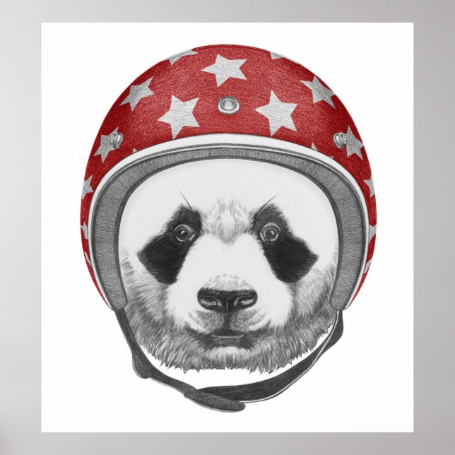 Daredevil Panda Poster (Vorne)