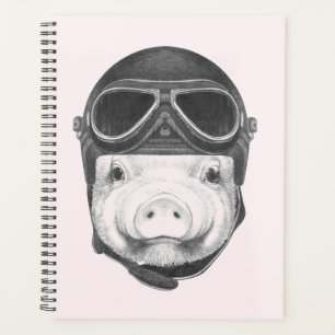 Daredevil Pig Planer