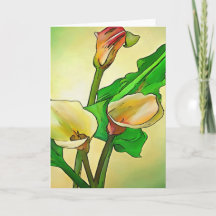 Dargestellt Calla Lilies gegen ein grünes Ombre