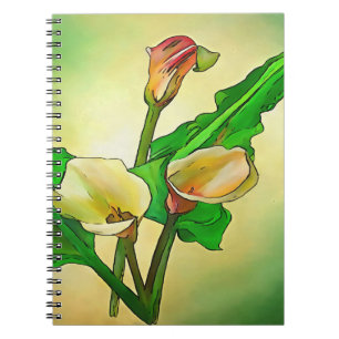 Dargestellt Calla Lilies gegen ein grünes Ombre Notizblock