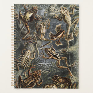 Dark Academia Haeckel Vintage Frosch Natur Druck Planer