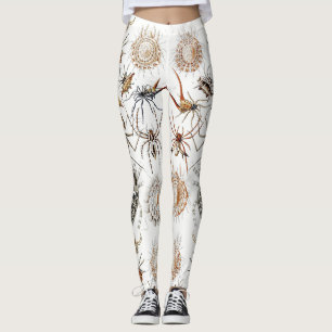 Dark Academia Haeckel Vintage Spinne Symmetrie Kun Leggings