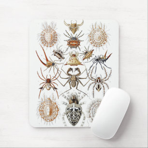 Dark Academia Haeckel Vintage Spinne Symmetrie Kun Mousepad