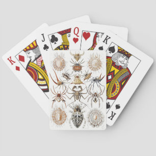 Dark Academia Haeckel Vintage Spinne Symmetrie Kun Spielkarten
