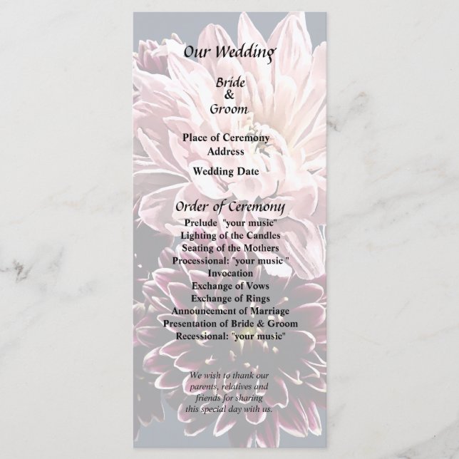 Dark and Light Mums and Daisies Programm (Vorderseite)