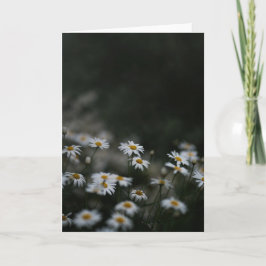 Dark and moody meadow, Sympathy Karte