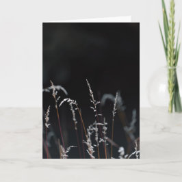Dark and moody nature, Sympathy Karte