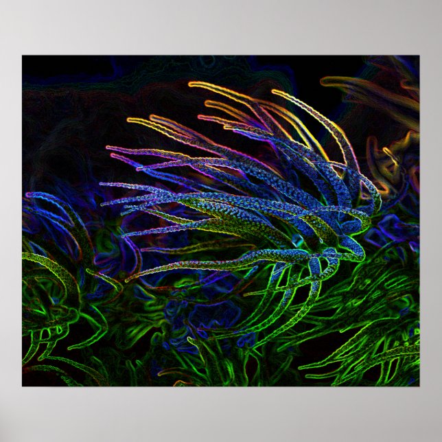 Dark Art Neon Coral Poster von J.W. Vaterree. (Vorne)