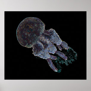 Dark Art Qualle Poster von J.W. Fatherree.
