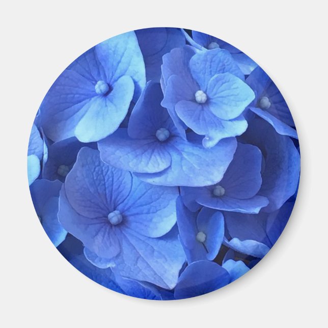 Dark Blue Hydrangeas Magnet (Vorne)
