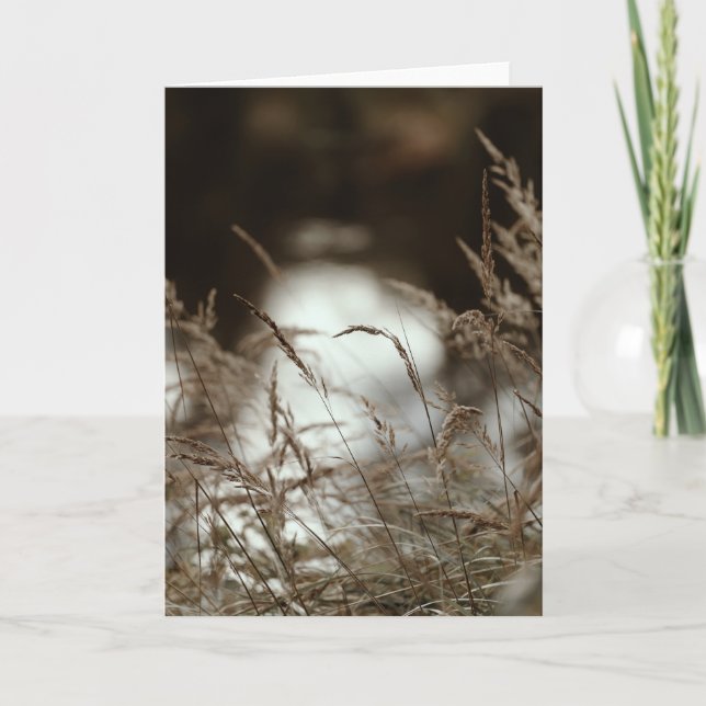 Dark brown and moody grass in wind, Sympathy Karte (Vorderseite)