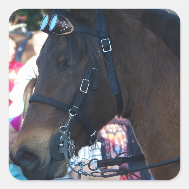 Dark Brown Arabian Horse mit Brille Quadratischer Aufkleber (Vorderseite)