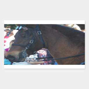 Dark Brown Arabian Horse mit Brille Rechteckiger Aufkleber