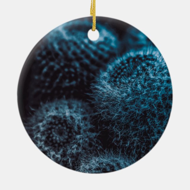 Dark Cactus Keramik Ornament (Hinten)