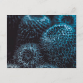 Dark Cactus Postkarte