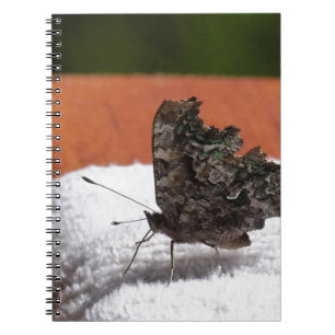 Dark Camouflage Butterfly Notizblock