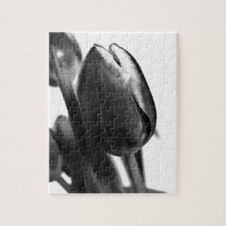 DARK ELEGANT TULIPS
