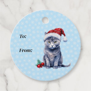 Dark Gray Kitty trägt einen Red Winter Pompom Hat Geschenkanhänger