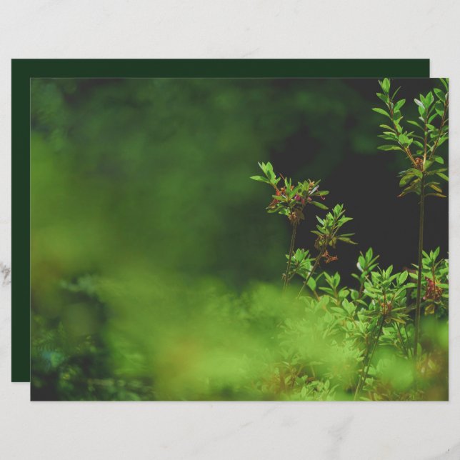 Dark green forest Scrapbook Paper (Vorne/Hinten)