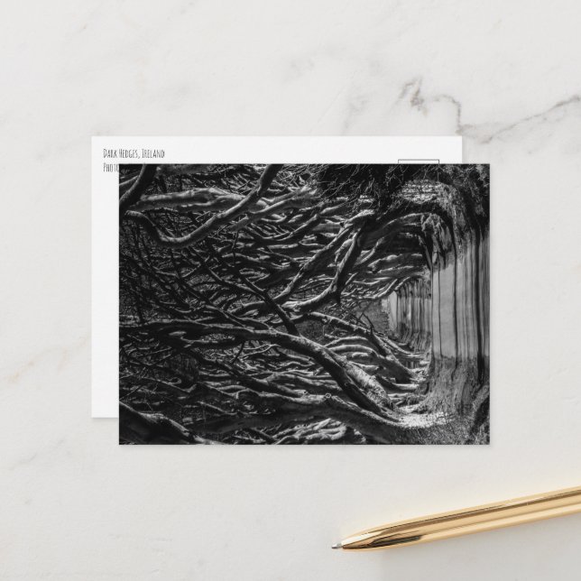 Dark Hedges Irland Postkarte (Vorderseite/Rückseite Beispiel)