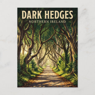 Dark Hedges Nordirland Postkarte