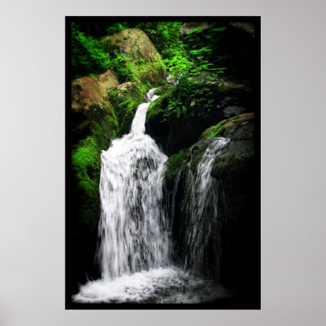 Dark Hollow Falls Print #4982 Poster (Vorne)