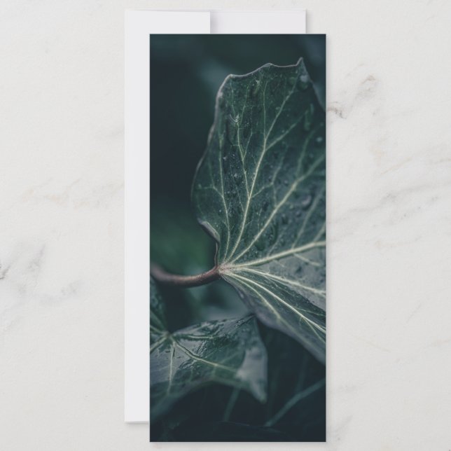 Dark Ivy Leaf Nature Foto Karte (Vorderseite)