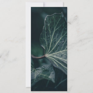 Dark Ivy Leaf Nature Foto Karte