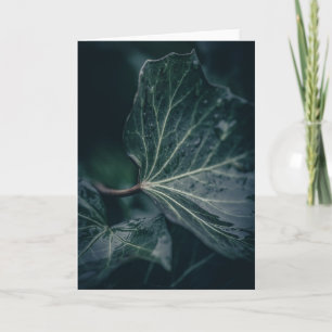 Dark Ivy Leaf Naturfotografie Karte