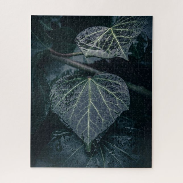 Dark Ivy Nature Foto (Vertikal)