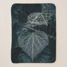Dark Ivy Nature Fotografy