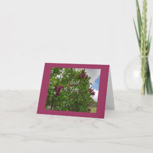 Dark Lila Lilac Faltkarte Karte