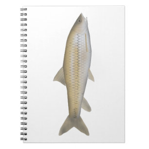 Dark Mahseer Notizblock
