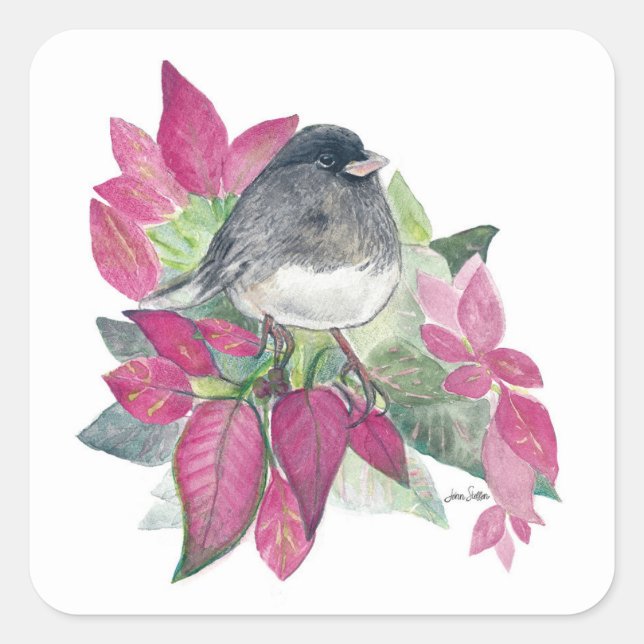 Dark Mit Augen Junco Bird Square Sticker (Vorderseite)