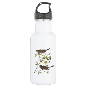 Dark-mit Augen Junco von Audubon Trinkflasche