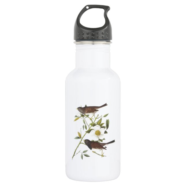 Dark-mit Augen Junco von Audubon Trinkflasche (Vorderseite)