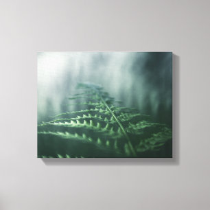 Dark Moody Fern Nature Foto Leinwanddruck