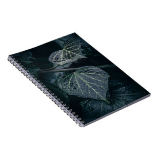 Dark Moody Ivy Nature Foto Notizblock