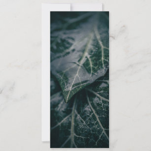 Dark Moody Ivy Verlasse Nature Foto Karte