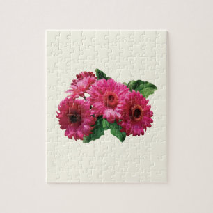 Dark Pink Gerbera Daisies