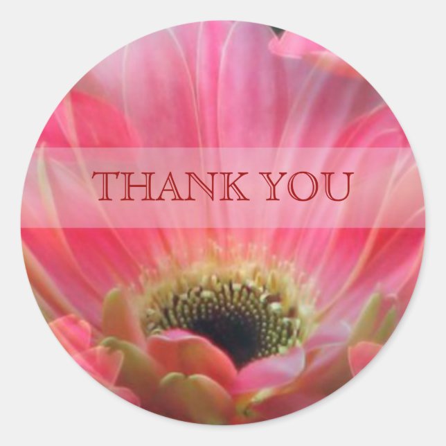 Dark Pink Gerbera daisy Danke Sticker (Vorderseite)