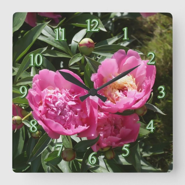 Dark pink peonies quadratische wanduhr (Vorderseite)