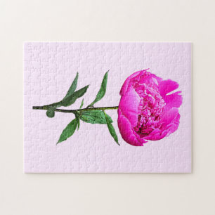 Dark Pink Peony